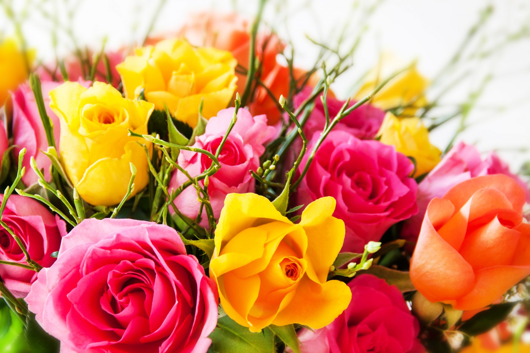 Images Fleurs Gratuites A T l charger Fleur De Passion Images Fleurs Gratuites A T l charger Fleur De Passion