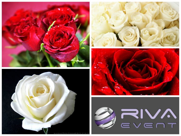 Rever de bouquet de roses fleur de passion