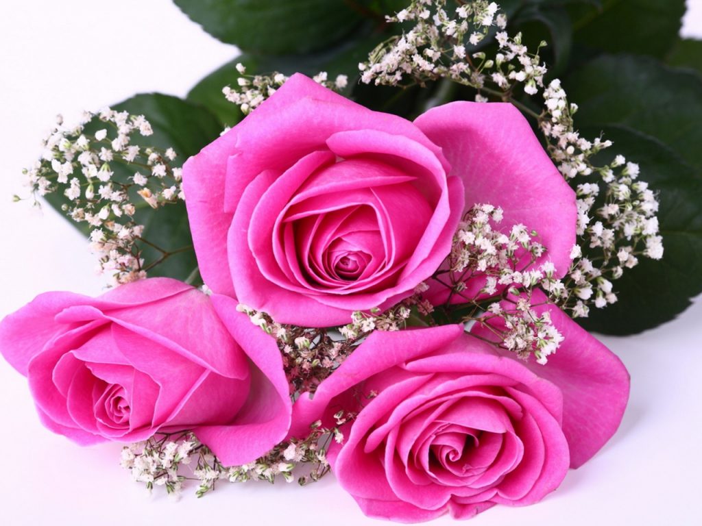 Photo bouquet de fleurs champetre fleur de passion