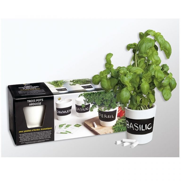 Herbes et aromates fleur de passion Herbes et aromates fleur de passion