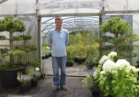 Collectionneur de plantes