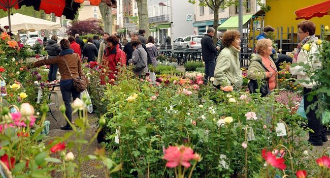 Foires aux plantes 2016