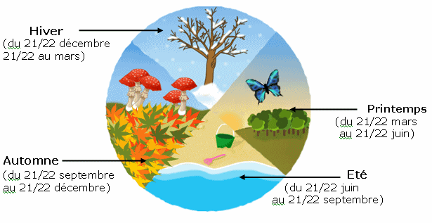 Plante 4 saison