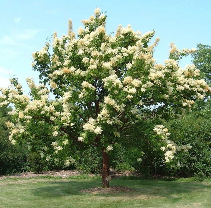 Les jardins de la brande