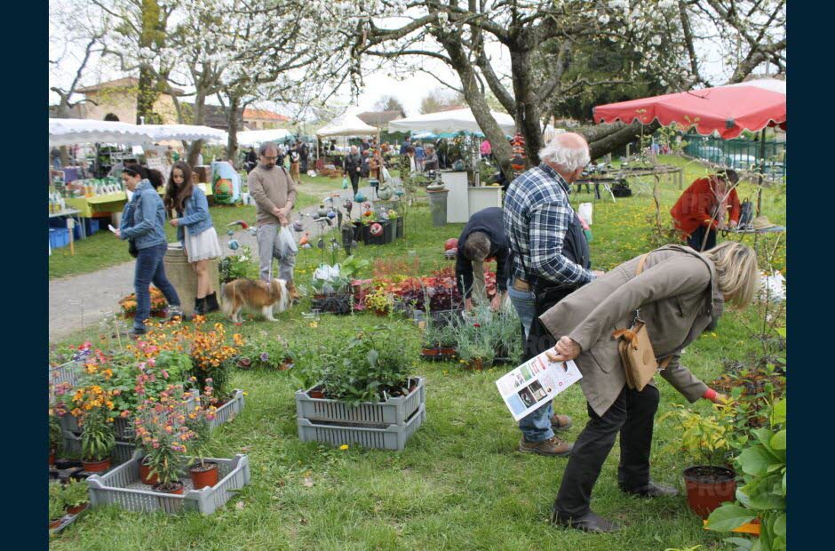 Foire aux plantes rares