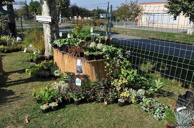 Le jardin de taurignan