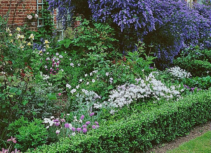 Jardin arbuste