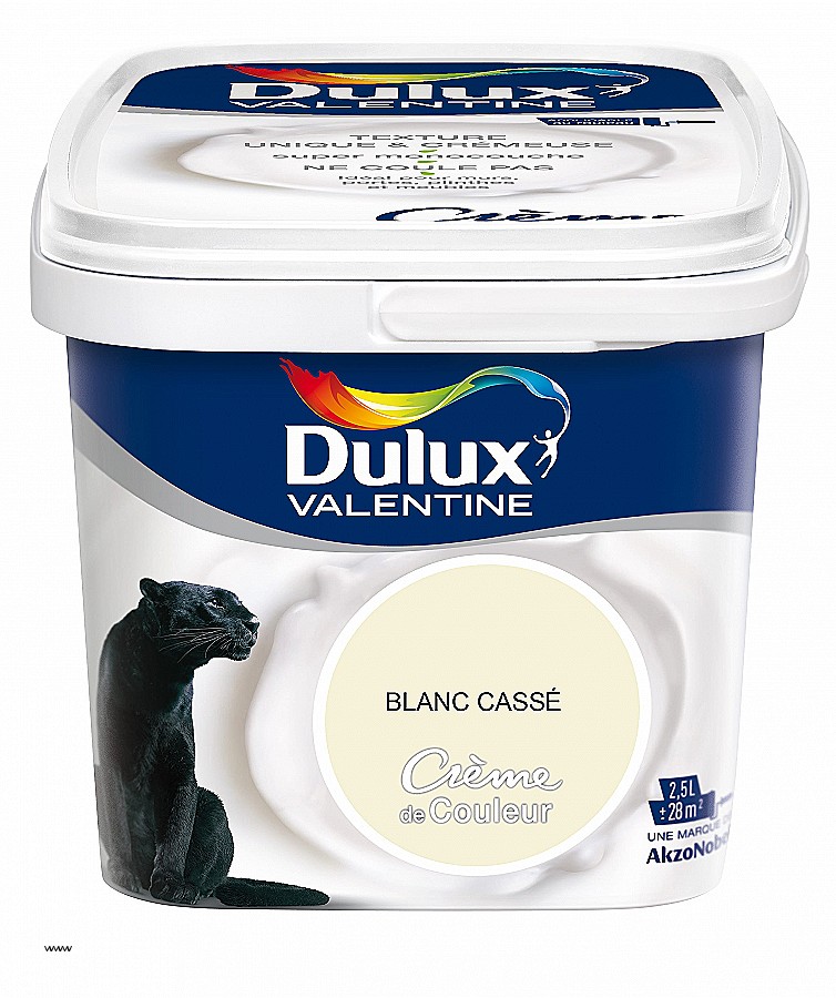 Dulux valentine cuisine et bain