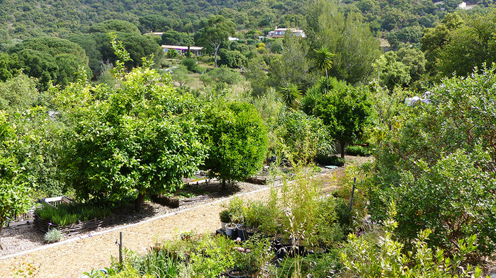 Pepiniere botanique