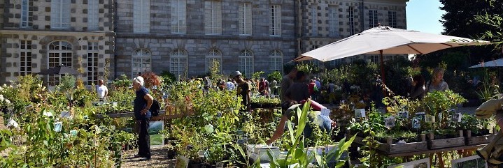 Fête des plantes saint jean de beauregard