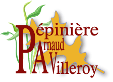 Pepiniere villeroy