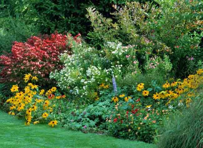 Composer un massif de fleurs