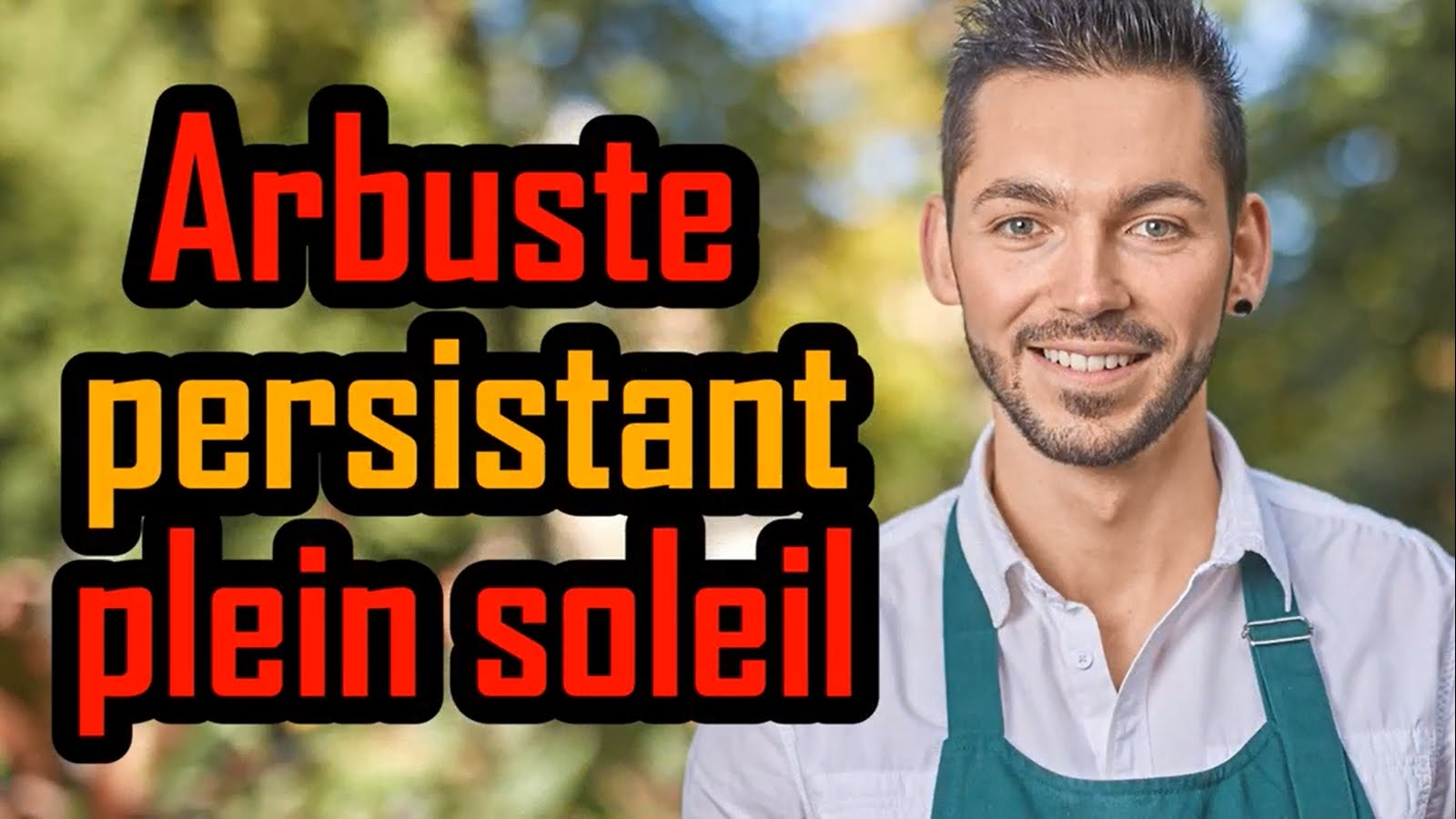 Arbuste resistant au soleil