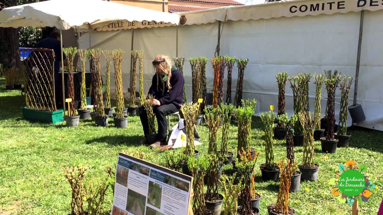 Foire des plantes