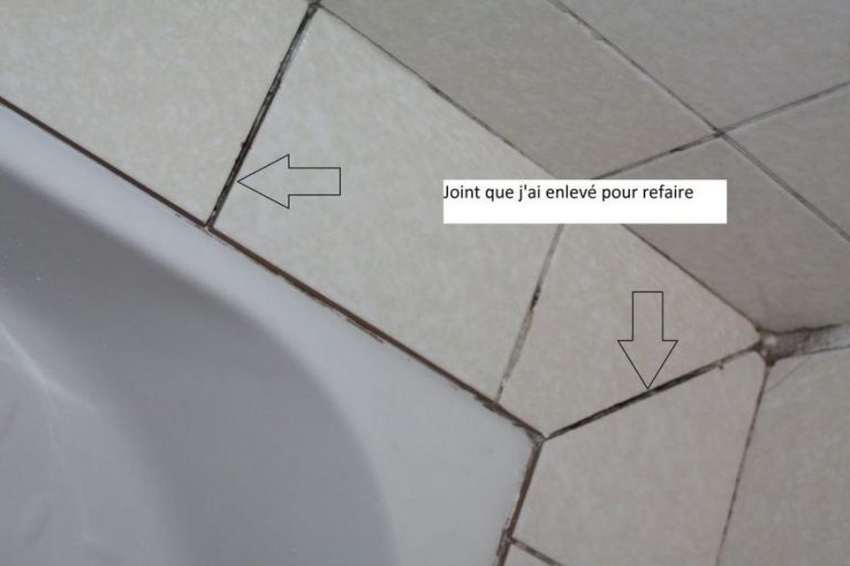 Renover joint carrelage douche fleur de passion