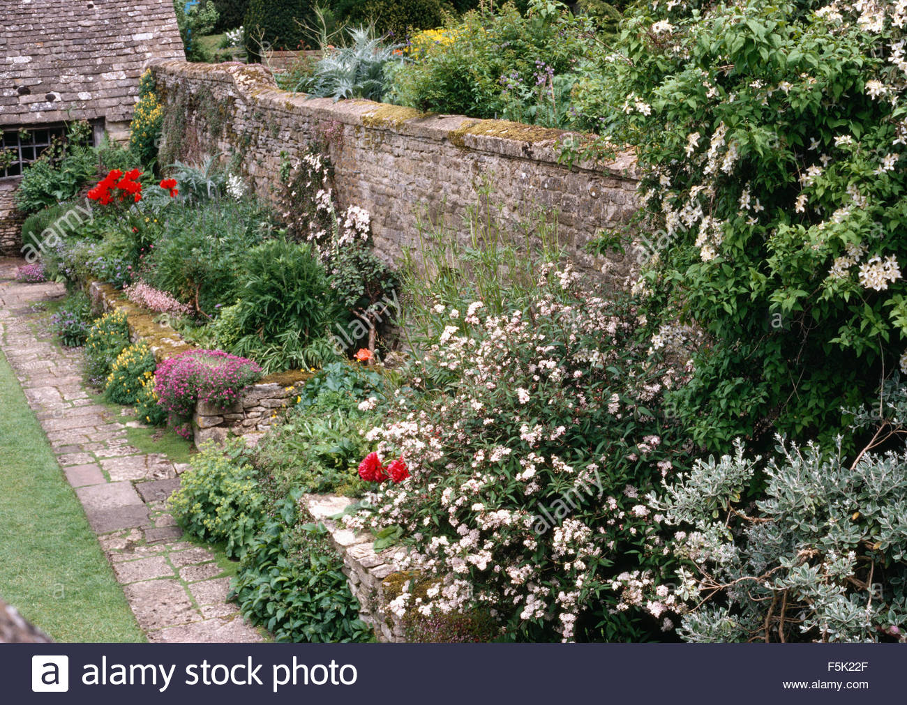 Plantes et arbustes vivaces