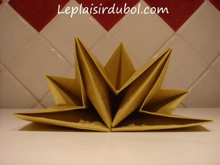 Pliage serviette range couvert 2 couleurs - fleur de passion