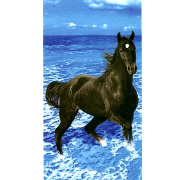 Serviette de plage cheval