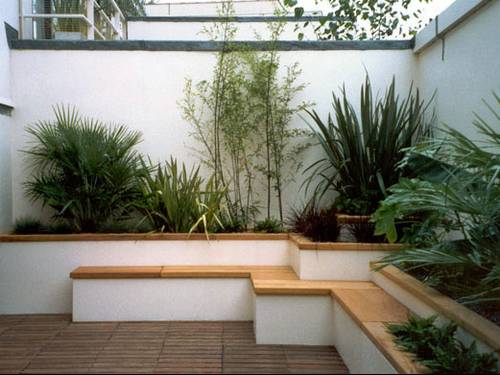 Arbuste persistant pour bac terrasse