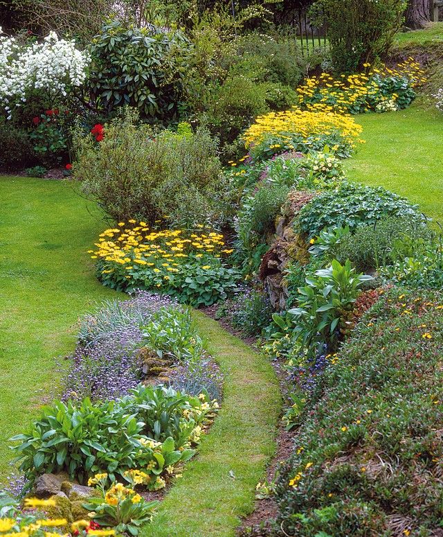 Quoi planter sur un talus