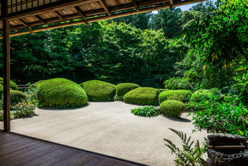 Couvre sol jardin japonais