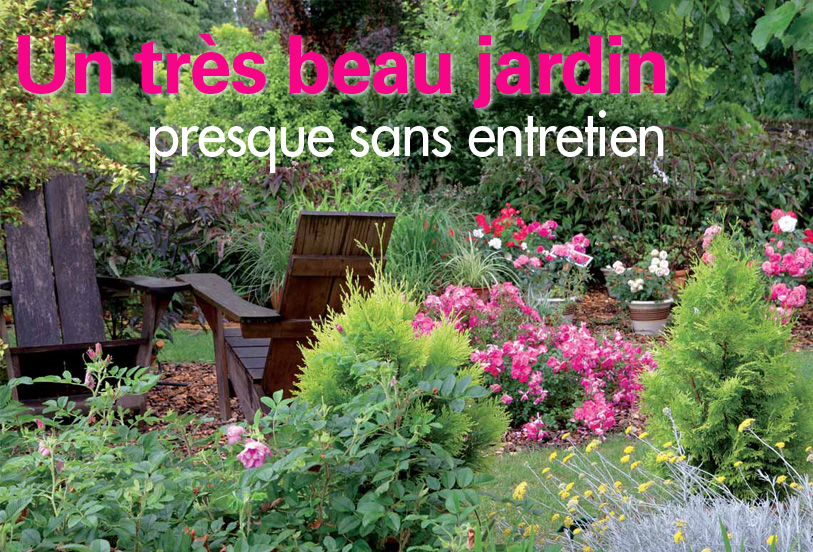 Plante pour bordure sans entretien